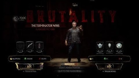 Mortal kombat 11 terminator brutality tutorial:  hunter killer