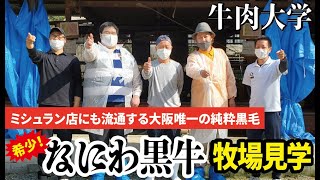 希少！大阪唯一の黒毛和牛「なにわ黒牛」の牧場見学！愛情で育てる畜産家。