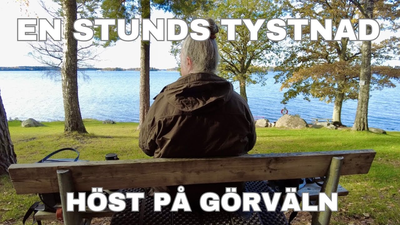 Höstens vackra färger i tystnad- avkopplande naturvideo.