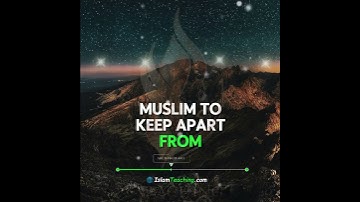 Essential Islamic Teaching Explained (Sunan Abi Dawud: 4911) #hadith #brotherhood #islam