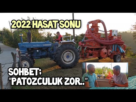 2022 FINDIK Sezonu Finali ‼️ PATOZ ve PATOZCULUK Mesleğine Dair Sohbet...