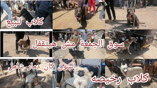 سوق الجمعة للكلاب السيدة عائشة بتاريخ 8/10/2021 كلاب للبيع بالأسعار وارقام التيلفونات مع احمدمكرونه