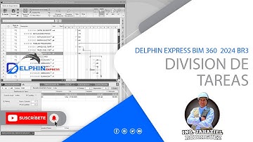 Division de Tareas en Diagrama de Gantt con Delphin Express 2024 BR3