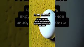 #авызналиэто #авызнали #факт #яйцо #знайобовсем #интереснознать