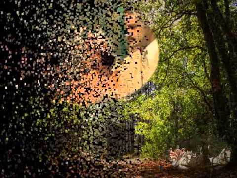 Гелена мнишек прокаженная аудиокнига