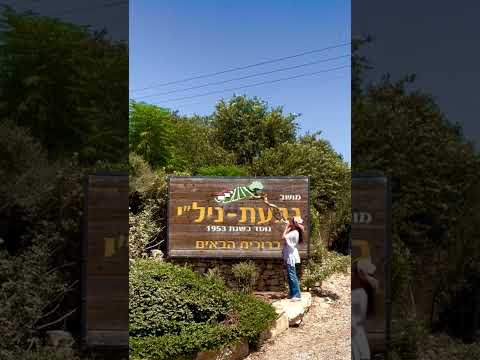 Shofar At Moshav Givat Nili Israel Elul 2024 With Nili Salem