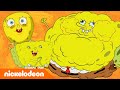 SpongeBob | I 14 momenti migliori di Assorbenza di SpongeBob | Nickelodeon Italia