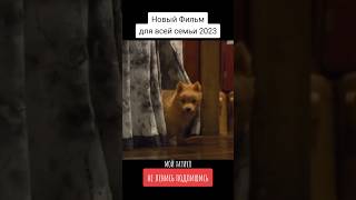 Самый Верный Друг. Мой Хатико - 2023