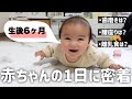 【生後6ヶ月】赤ちゃんの1日に密着/離乳食は?腰座りは?寝返り返りは?授乳回数は?