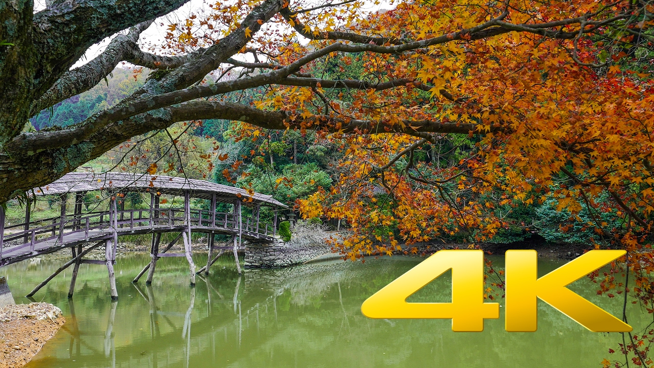 Yuge Shrine and the Taiko Bridge - Ehime - 弓削神社の太鼓橋 - 4K Ultra HD 🎑 🍂 🇯🇵