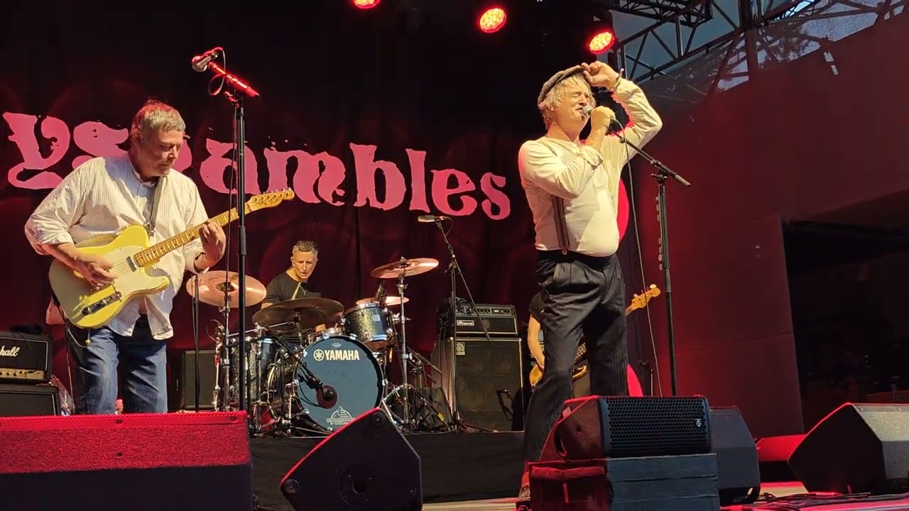 Babyshambles - 8 Dead Boys - Poolbar Feldkirch - 14.08.2026 - LIVE