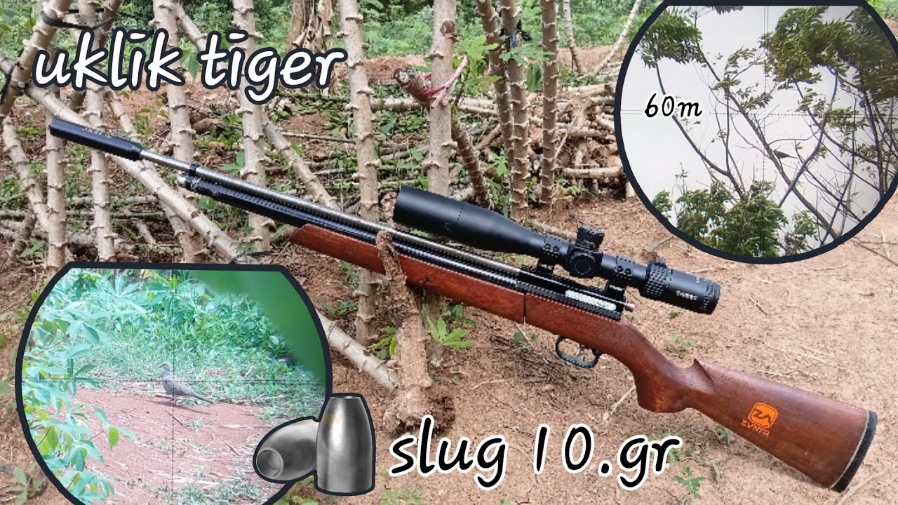 BERBURU‼️ UKLIK MENOLAK PUNAH 60 METER HIT PAKAI SLUG 10GR‼️