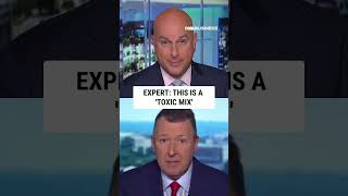 This is a 'toxic mix': Former Bush speechwriter #shorts #foxbusiness #breaking #media