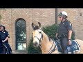 CPD mounted patrol on North High Street ahead of tonight's graduations