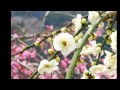 磯ぶし源太(橋幸夫) Cover Song by leonchanda