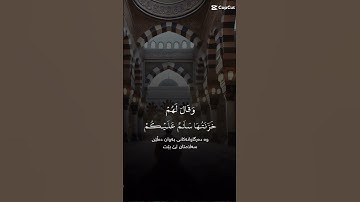 قران كريم راحه نفسيه #تلاوة_خاشعة #قرآن #اكسبلور #المصحف #اترك_اثرا_طيبا_بذكر_الله #لايك #الرحمن