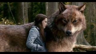 Twilight werewolves but with zombies 2 music (call to the wild)