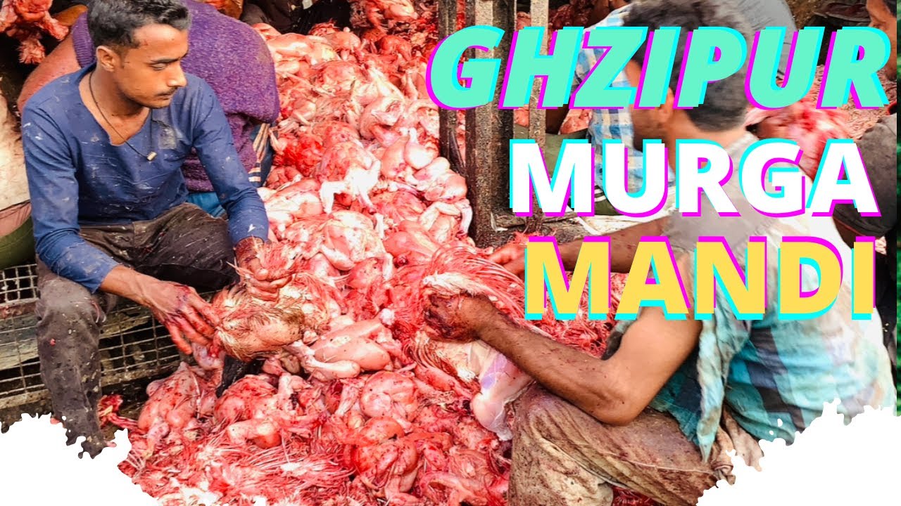 Ghazipur Murga Mandighazipur murga mandi rate todayWholesale ghazipur