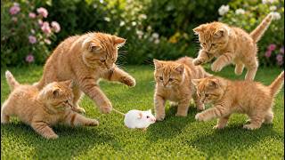 🐱🌈 Playful Colorful Kittens Chasing Little Mice in the Garden – Cute Cat Moments & Fun Meow Sounds screenshot 4