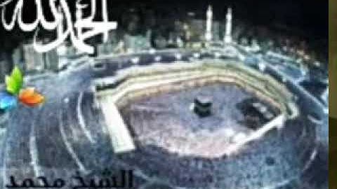 سورة المجادلة، الشيخ محمد المحيسني