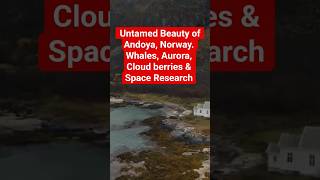 Andoya, Norway:  Watch Whales, Epic Hikes, Stunning Beaches, Wild Safaris, Fishing, Surfing, more