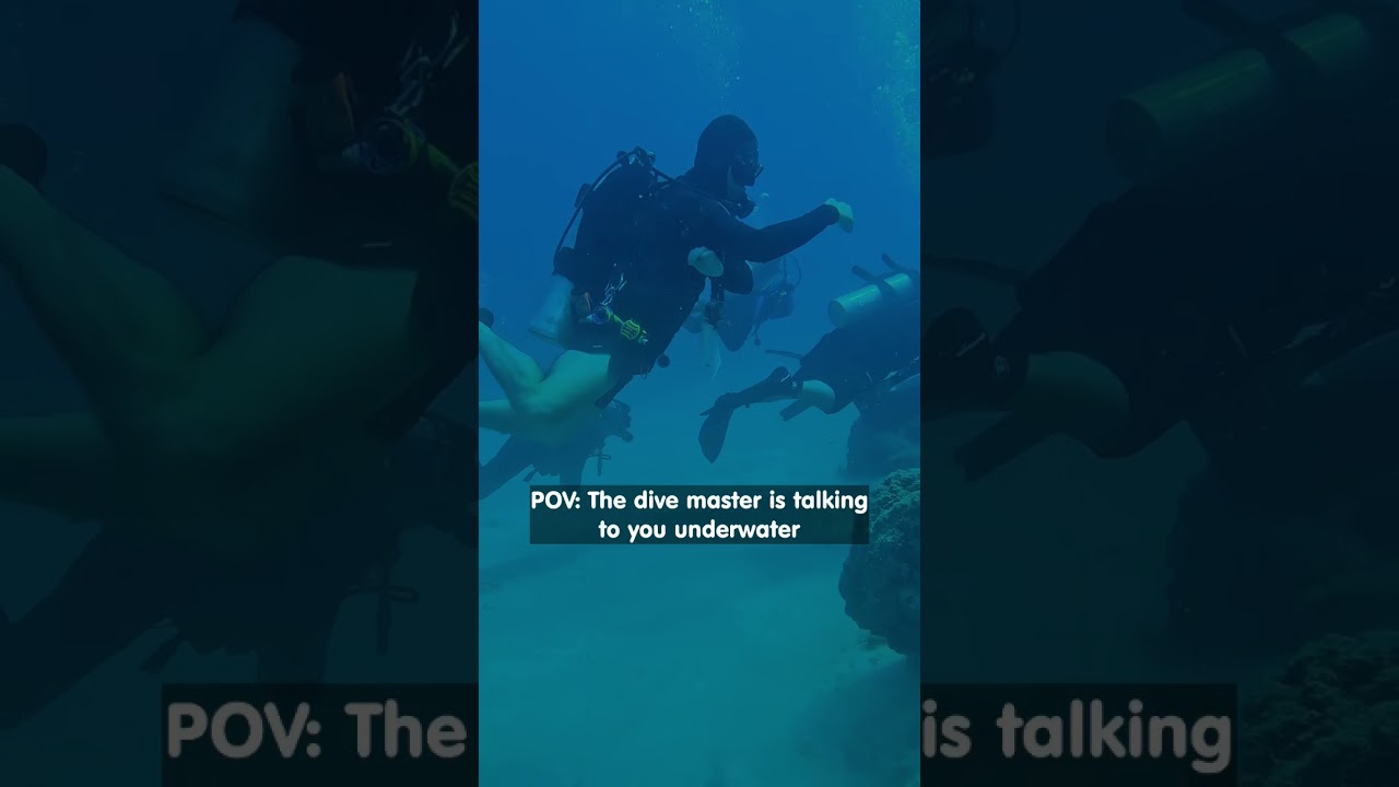 When the Dive Master’s Hand Signals Are a Mystery | Scuba Diving Fun at Reef Oasis Diving Center