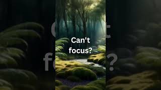 Your Brain Needs This 🍂 Focus Piano Reset #pianomusic #rain #peacefulwaves