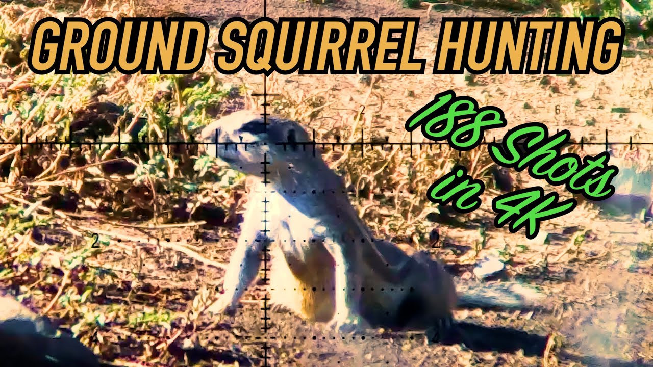 The BEST Ground Squirrel Hunting Compilation - 188 Shots in 4K!