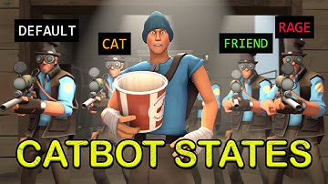 All TF2 Catbot States Explained (why bots don