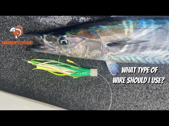 How to use a WIRE LEADER fishing 