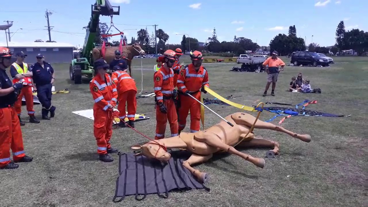 Large Animal Rescue Demo - YouTube