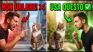 Non Sgridare Il Gatto Usa Questi 3 Suoni