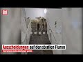 Alarm in Wolfhagen: Kühe in der Notaufnahme!