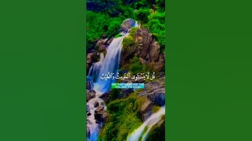 تلاوة تفوق الوصف قرأن كريم #elmulquranعلم #تلاوة #اكسبلور #aslam #المصحف #duet #trend #قران_كريم