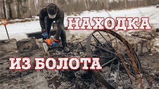 Находка из болота