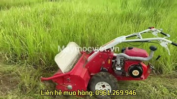 Chạy thử máy cắt cỏ trục băm Mitsubishi 10HP phiên bản mới nhất 2022