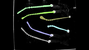 Finger tracking for multi-touch surfaces