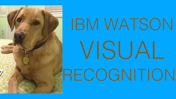 IBM Watson: Using the Visual Recognition service to classify Dog Breeds! (feat. Bruno!)
