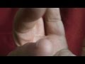 The Fellowship of Hell - They Might Be Giants (Official Video)