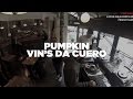 Pumpkin  vins da cuero w dj lyrik  live set  le mellotron