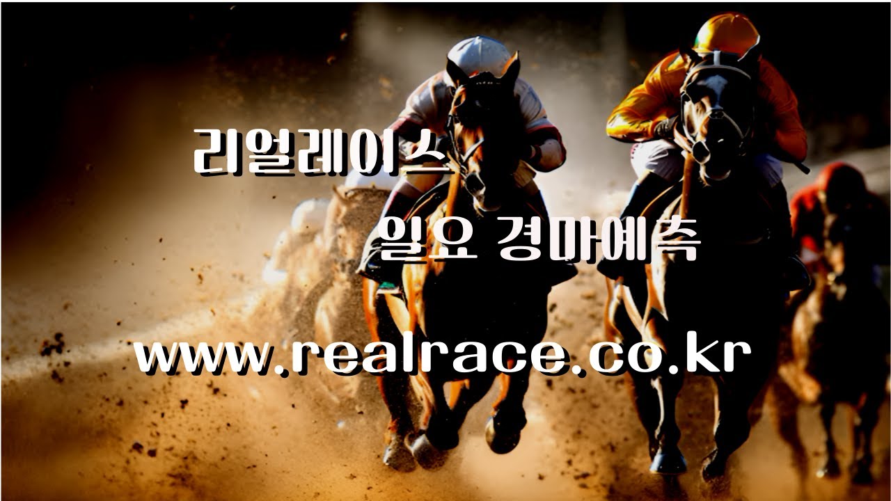 경마 26년 1월 10일 토요일  서울경마 1경주