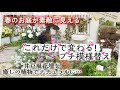 【ガーデニング】【お庭の模様替え】色を変えただけで劇的に変わるプチDIY 🫟色んなスペースを素敵に変える😍