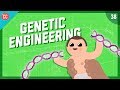 Changing the Blueprints of Life - Genetic Engineering: Crash Course Engineering #38