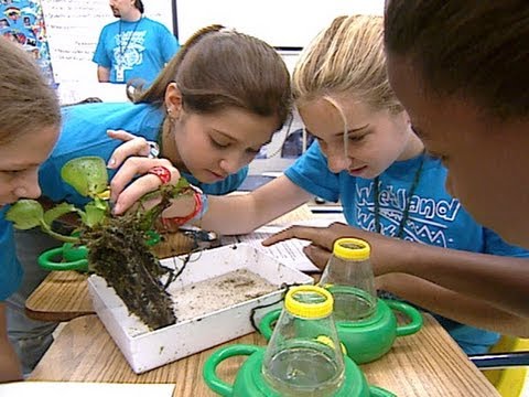 Environmental Activities For Kids 2