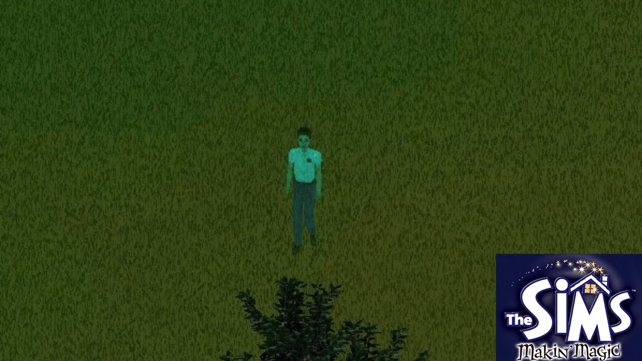 Playing The Sims On Expert Mode (None - Commentary)