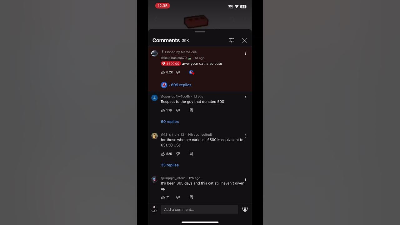 cat @MemeZee - YouTube