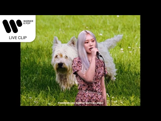 How to Love feat. BIGONE김미정 yourbeagle