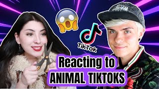 Pet Youtubers React to SURPRISE ANIMAL TIKTOKS! feat. EMZOTIC