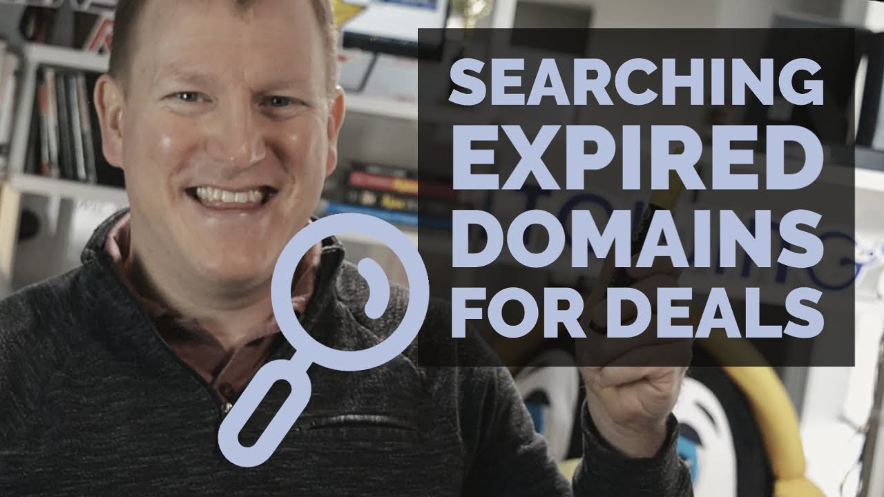 Searching Through Expired Domain Names - Nov 1st - Domain To Profit