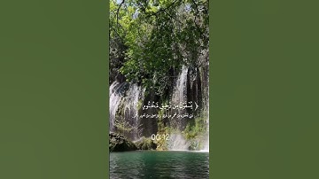 قرآن كريم بصوت جميل #رمضان2025 #قيام_الليل #قران_كريم #ارح_قلبك #دويتو #اكسبلور #صلاة #رمضان_يجمعنا